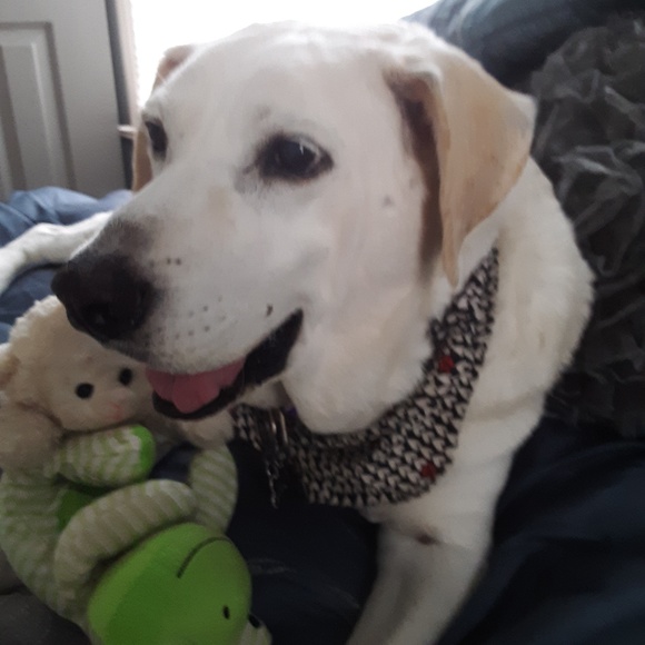 Meet your Posher, Leslie - Picture 7 of 8